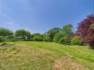 Garden- click for photo gallery